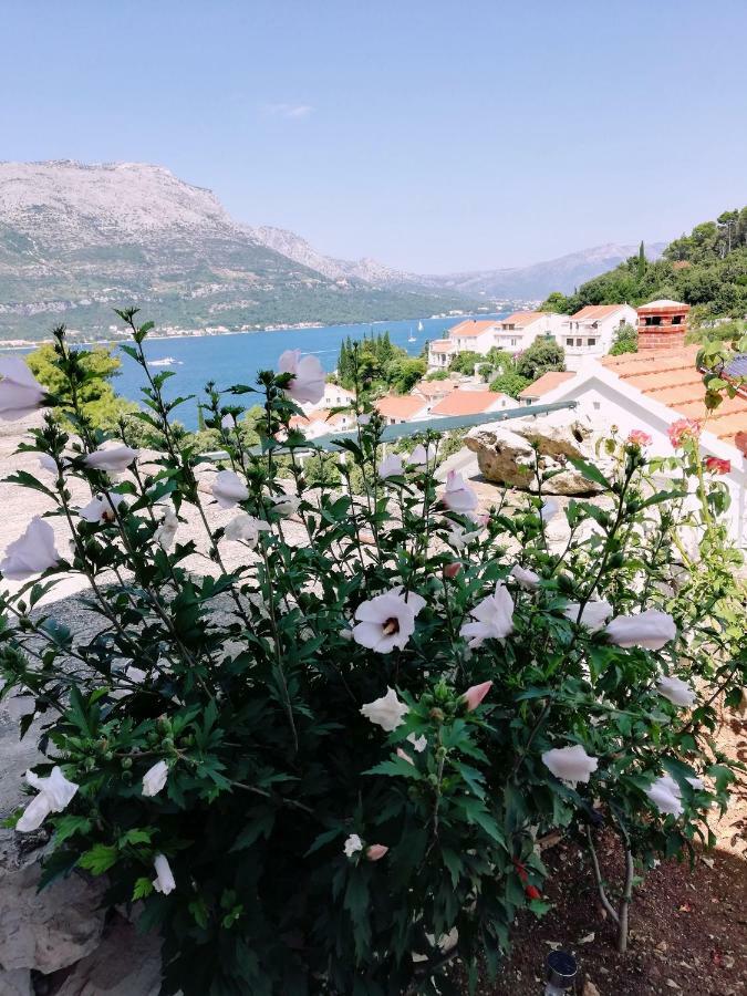 Amore Korčula Exteriér fotografie